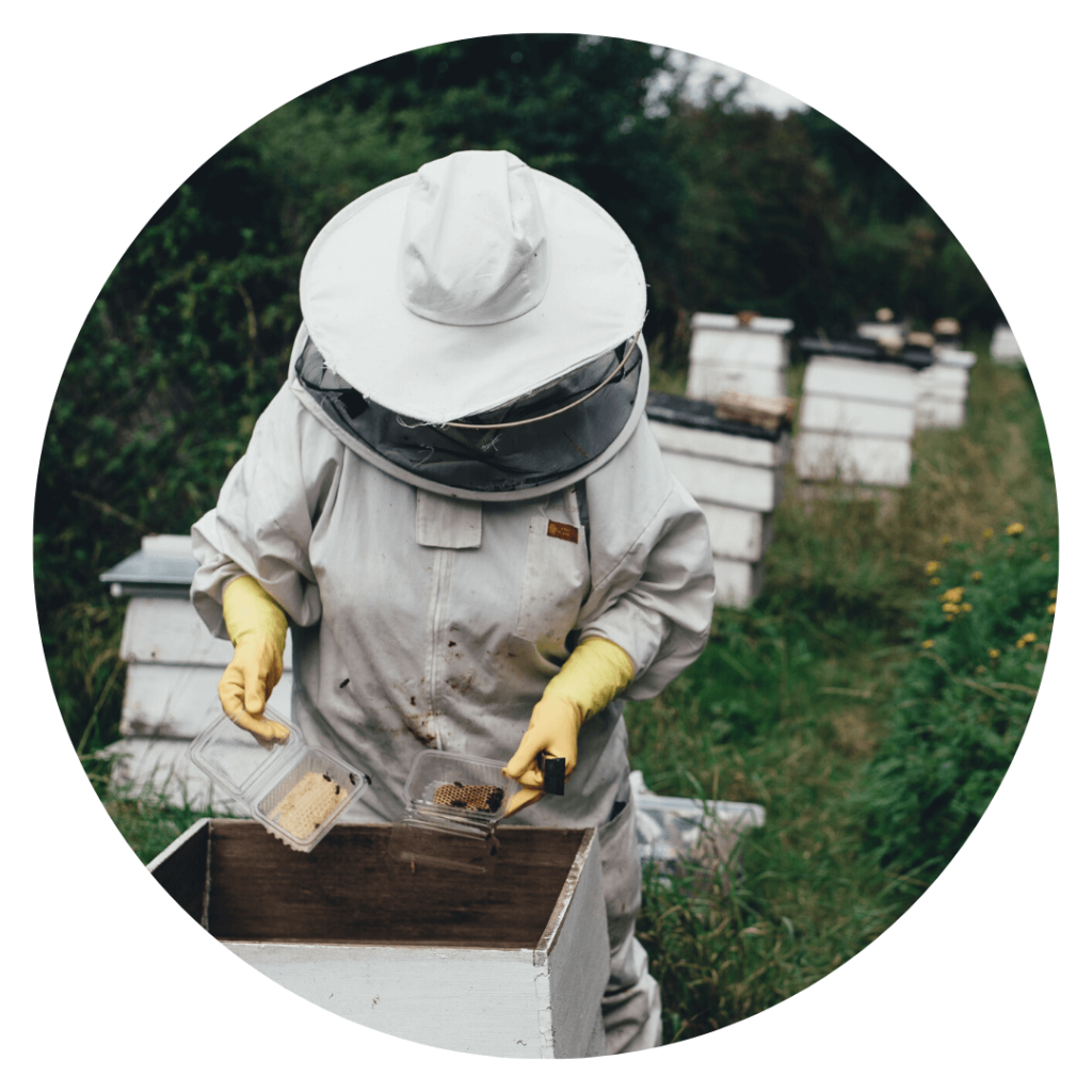 Photo d'un apiculteur avec ses ruches